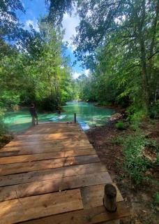 Waterfront Treehouse in a Magical Forest - Waller - 5