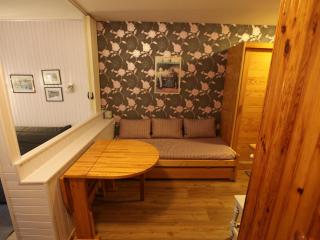 Studio chaleureux avec balcon, au pied des pistes d'Avoriaz, pour 3 personnes avec TV et WiFi - FR-1-314-167 - 0