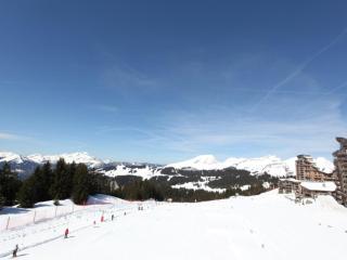 Studio cabine 4 pers avec WIFI au pied des pistes à Avoriaz - FR-1-314-219 - 3