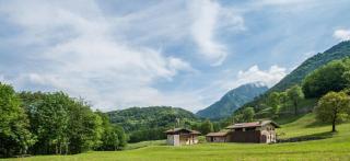 Quader nidi nel verde - 6