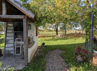 Ferienwohnung Kaffestübchen - 1