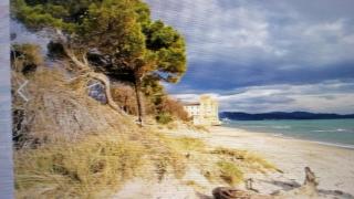 Hausemaremma 1 camera - Follonica - 0