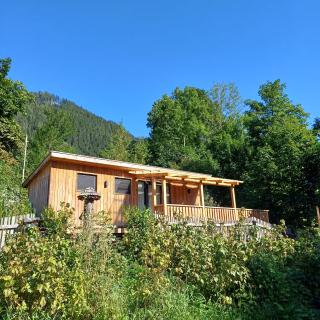 Tiny House am Steinergut - Radstadt - 0
