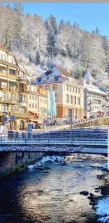 Gemütliche Wohnung im Zentrum von Bad Wildbad - Bad Wildbad - 4