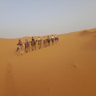 Erg Chebbi Starlight Camp - Merzouga - 9