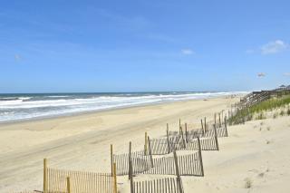 1211 - Stork II - Corolla - 4