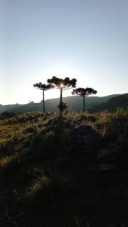 Pousada Recanto da Cascata - Cabana Platano - 8