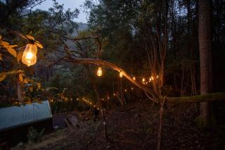 Fernvale Cottage - An Enchanting Mountainside Oasis - Lenah Valley - 8