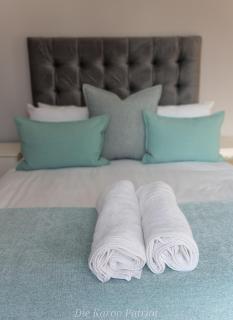 Die Karoo Patriot - 1