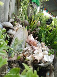 Shirley's Cottage - Pamilacan Island - Baclayon - 4