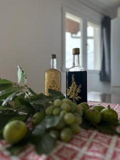 Apartmani Krolo Trogir otok Čiovo - 4