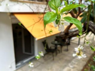 Cozy apt Marina Flisvos - 8