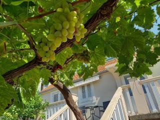Apartman Maslovar - Kotor - 9