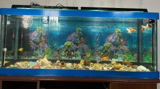 ElMar Guesthouse - Sevan - 7