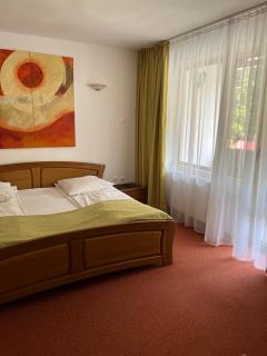 Hotel-Restaurant Siesta Balea - Cumpăna - 2
