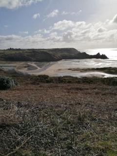 1 Bed cottage The Stable at Llanrhidian Gower with sofa bed for additional guests - 4