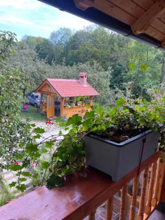 Casa Armonia - Bran - 2