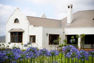 Excelsior Manor Guesthouse - Ashton - 6