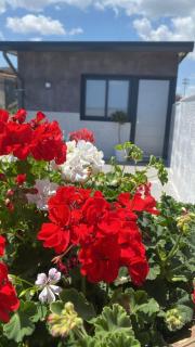 Curia Apartment - Catania - 9