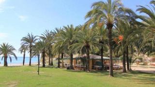 Sol Mediterráneo Palm Beach 3 - 9