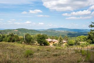 Lavanda - Montieri - 8
