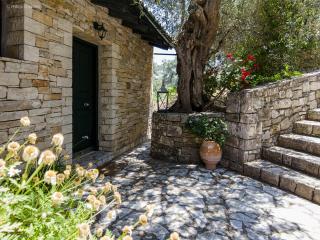 Adamantia Studio S2 - Gaios (Passo) - 0