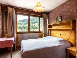 Appartement 2 chambres centre village - Proche pistes, cheminée, animaux admis - FR-1-437-41 - 1