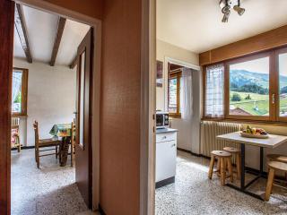 Appartement 2 chambres centre village - Proche pistes, cheminée, animaux admis - FR-1-437-41 - La Clusaz - 2