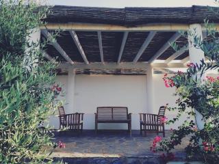 Casa Jardín. Vivienda rural en zona tranquila. - Lucainena de las Torres - 6