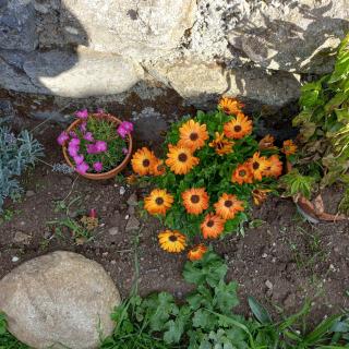 Boufavent - Salettes - 6