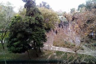 Simbiose - Carcavelos - 3