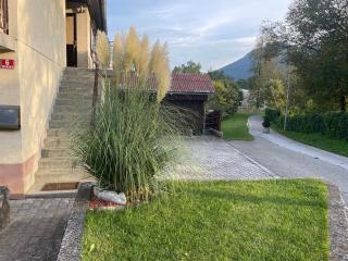 Apartma Šohen - Kočevje - 6