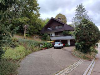 Feldbergsicht - Lenzkirch - 4