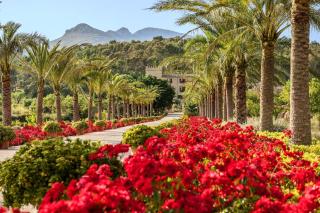 Castell Son Claret - The Leading Hotels of the World - Es Capdella - 0