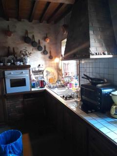 Ferme Arboucau - Peyrouse - 6