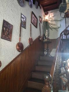 Ferme Arboucau - Peyrouse - 7