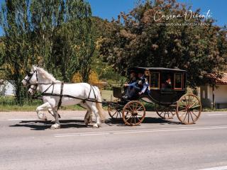 Hotel Boutique Casona Oriente - Cauquenes - 7
