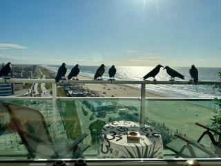 Studio Lola Love - 0