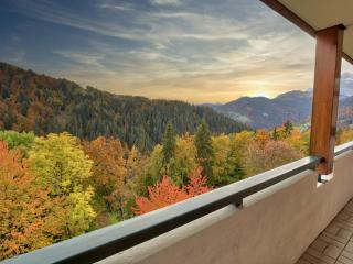 Charmant appartement familial avec parking et animaux acceptés - FR-1-505-63 - 0