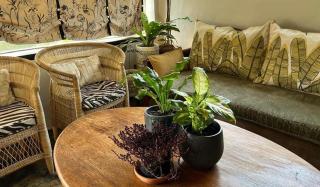 A Bird Cage Stay & Cottage - Haenertsburg - 4