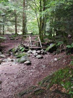 appt F3 - La Bresse/Cornimont - Cornimont - 1