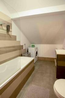 The greenhouse skyparlor in the heart of Timisoara - 4
