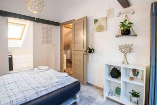 The greenhouse skyparlor in the heart of Timisoara - 2