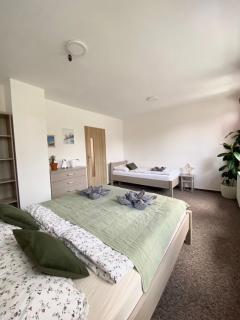 Apartmán pod vlekem - Horní Malá Úpa - 9