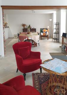 Balade en estuaire - Nieulle-sur-Seudre - 6