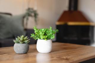 1BR in Carleton Lodge, Unbeatable Mountain Base Location, Ski In, Ski Out, Free Parking - 1