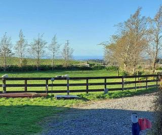 Bella Park - New Plymouth Holiday Studio - New Plymouth - 9