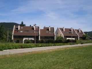 Charmant appartement avec balcon exposé sud, à 450m du centre et des pistes de fond – Autrans. - FR-1-737-56 - Autrans - 1