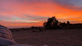 Mala Ki Dhani - Jaisalmer - 8