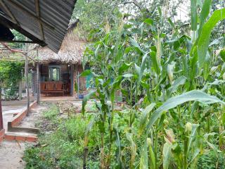Vong Nguyet Homestay - Entire Bungalow 36m2 - 3
